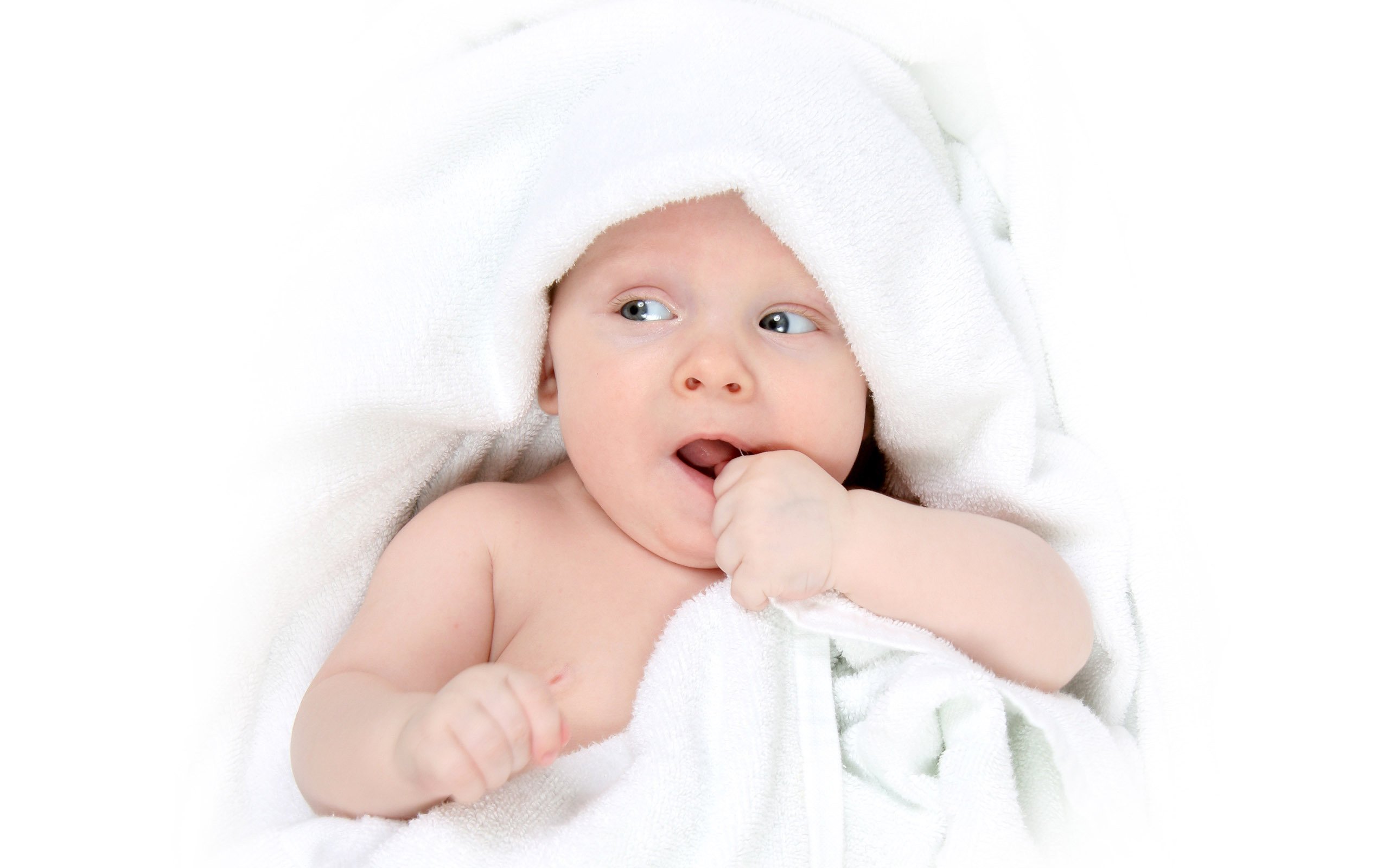 丽水供卵联系方式试管婴儿囊胚的成功率